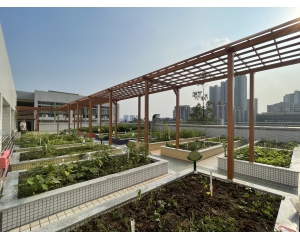 东兴小学劳动基地改造工程
